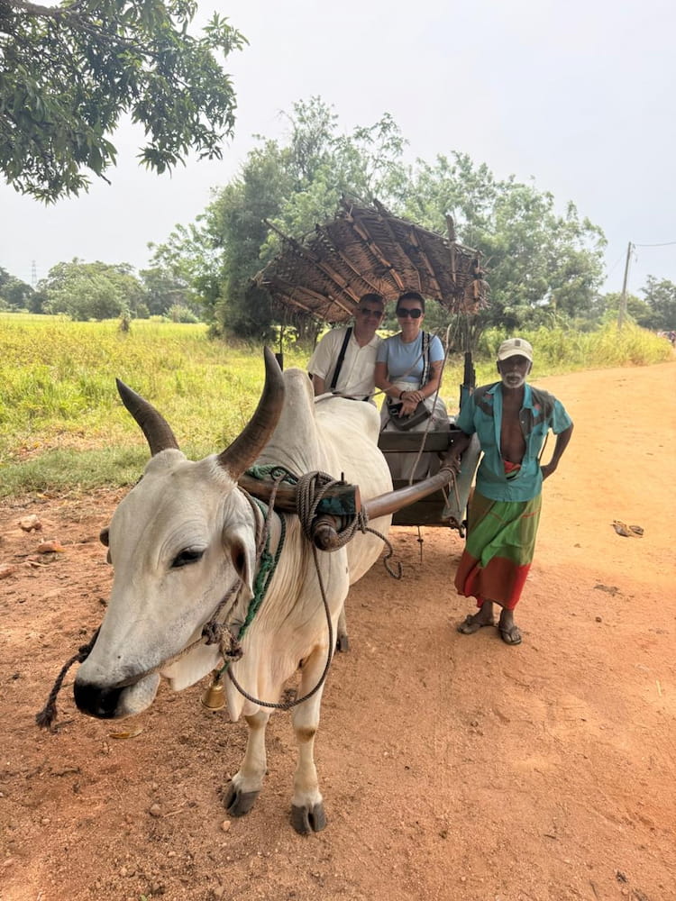 Experiencing Sri Lanka's Heritage Transport